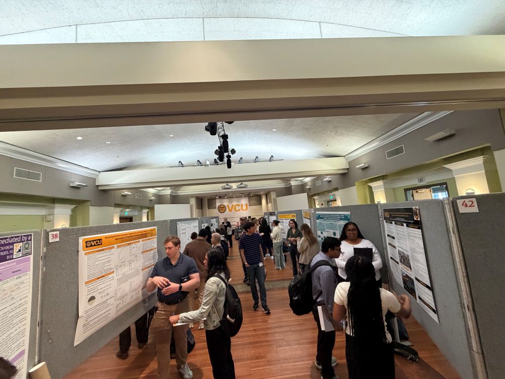 People walking around viewing posters at grad symposium 2026